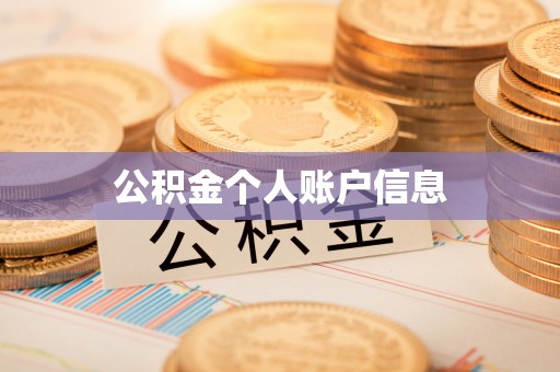铁锋公积金个人账户信息