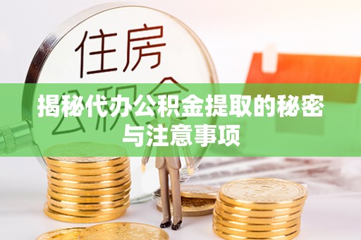 铁锋揭秘代办公积金提取的秘密与注意事项