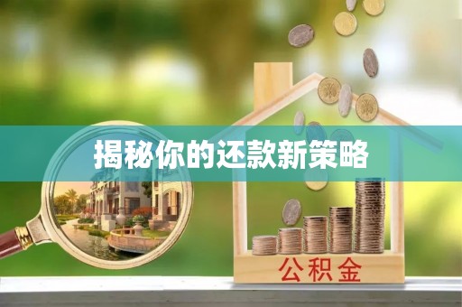 铁锋揭秘你的还款新策略