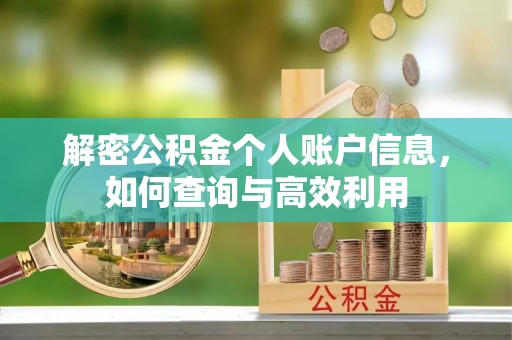 铁锋解密公积金个人账户信息，如何查询与高效利用
