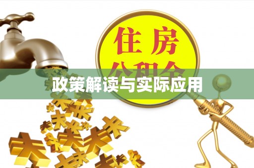铁锋政策解读与实际应用