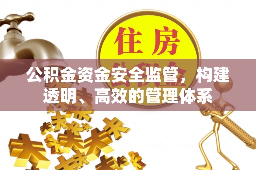 铁锋公积金资金安全监管，构建透明、高效的管理体系