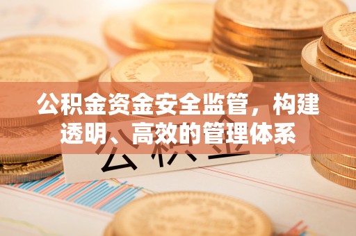 铁锋公积金资金安全监管，构建透明、高效的管理体系