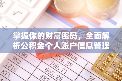 铁锋掌握你的财富密码，全面解析公积金个人账户信息管理与优化