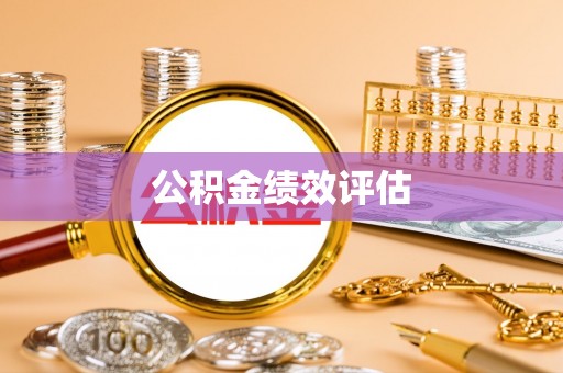 铁锋公积金绩效评估