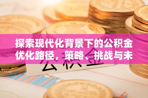 铁锋探索现代化背景下的公积金优化路径，策略、挑战与未来展望
