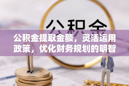 铁锋公积金提取金额，灵活运用政策，优化财务规划的明智选择