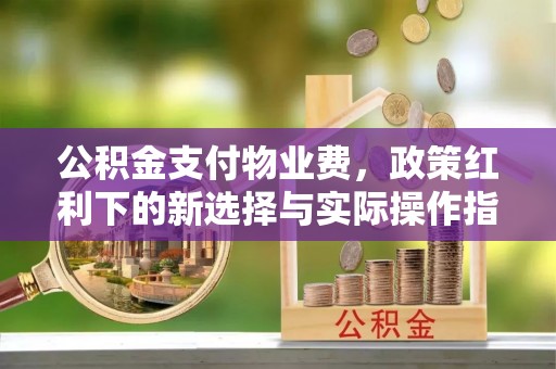 铁锋公积金支付物业费，政策红利下的新选择与实际操作指南