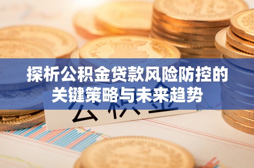 铁锋探析公积金贷款风险防控的关键策略与未来趋势