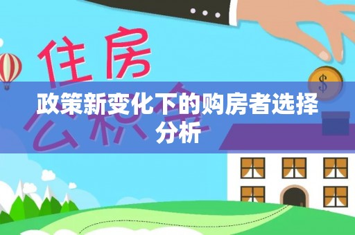 铁锋政策新变化下的购房者选择分析