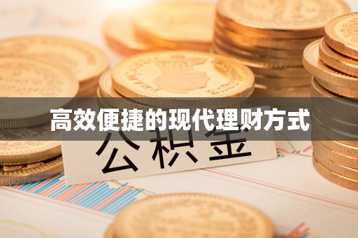 铁锋高效便捷的现代理财方式