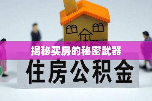 铁锋揭秘买房的秘密武器
