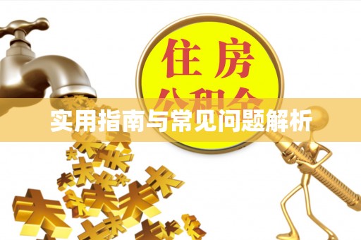 铁锋实用指南与常见问题解析