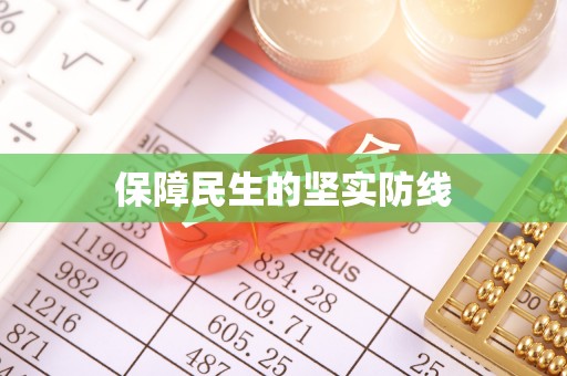 铁锋保障民生的坚实防线
