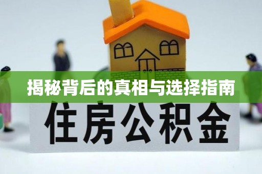 铁锋揭秘背后的真相与选择指南