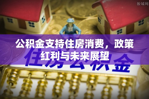 铁锋公积金支持住房消费，政策红利与未来展望