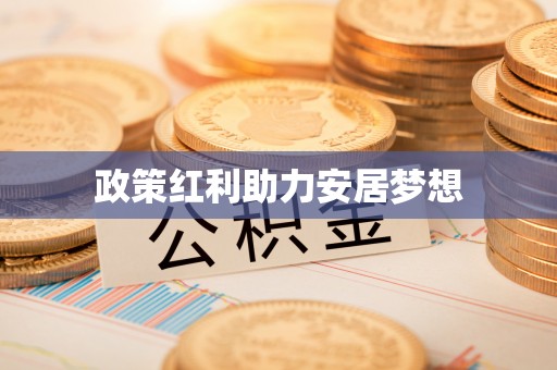 铁锋政策红利助力安居梦想