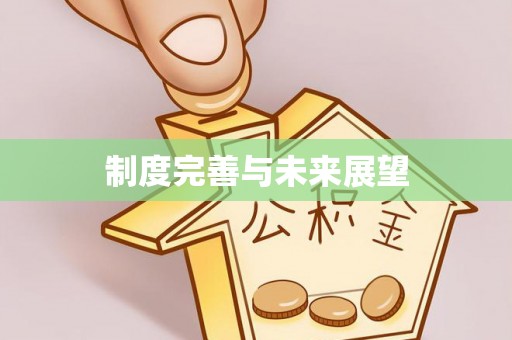 铁锋制度完善与未来展望