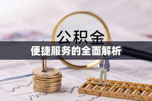 铁锋便捷服务的全面解析