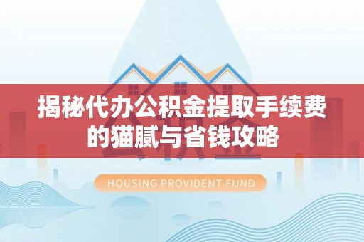铁锋揭秘代办公积金提取手续费的猫腻与省钱攻略