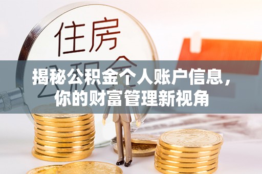 铁锋揭秘公积金个人账户信息，你的财富管理新视角