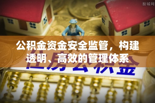 铁锋公积金资金安全监管，构建透明、高效的管理体系