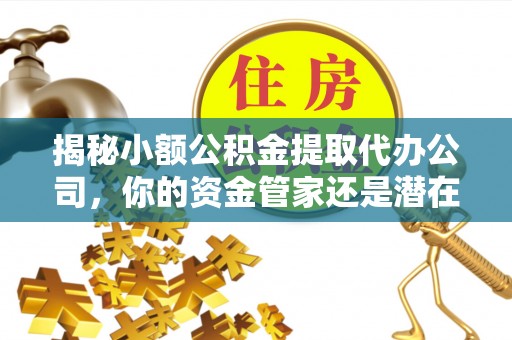 铁锋揭秘小额公积金提取代办公司，你的资金管家还是潜在风险？