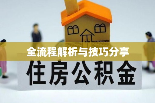 铁锋全流程解析与技巧分享