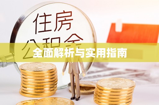 铁锋全面解析与实用指南