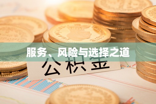 铁锋服务、风险与选择之道