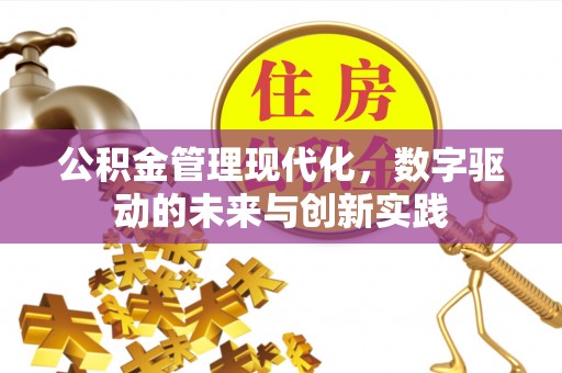 铁锋公积金管理现代化，数字驱动的未来与创新实践