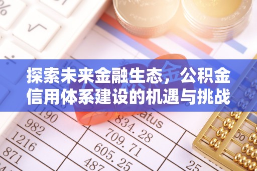 铁锋探索未来金融生态，公积金信用体系建设的机遇与挑战
