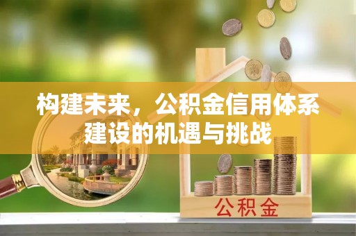 铁锋构建未来，公积金信用体系建设的机遇与挑战