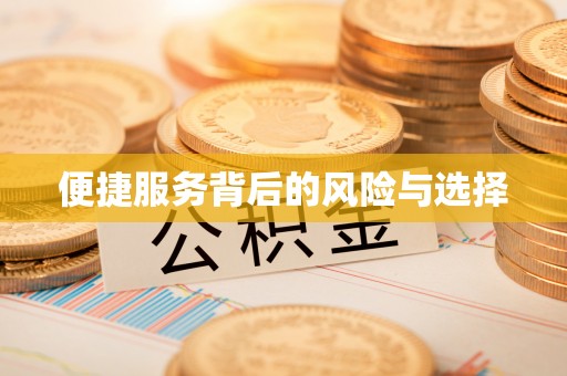 铁锋便捷服务背后的风险与选择