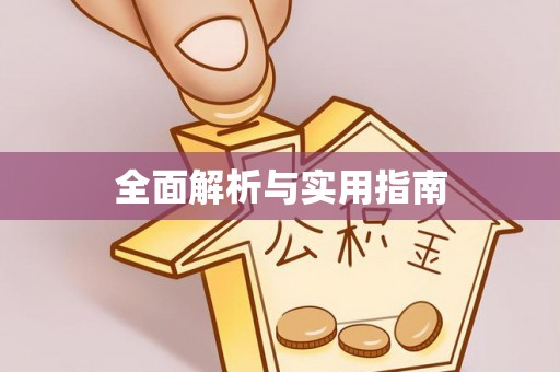 铁锋全面解析与实用指南