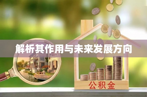 铁锋解析其作用与未来发展方向