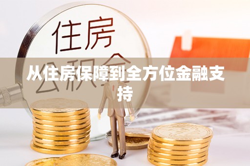铁锋从住房保障到全方位金融支持