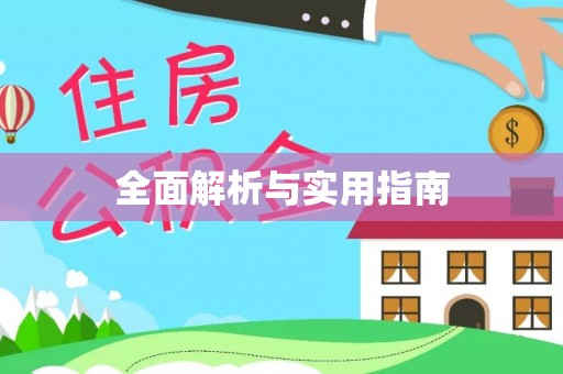 铁锋全面解析与实用指南